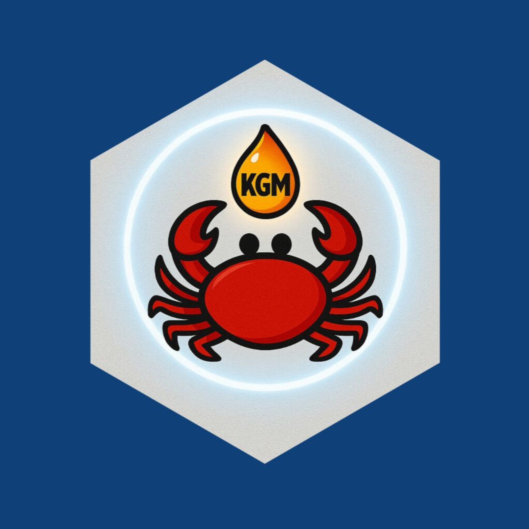 (شرکت کیمیا گستر مبین) Mister oil KGM